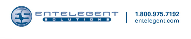 Entelegent Solutions
